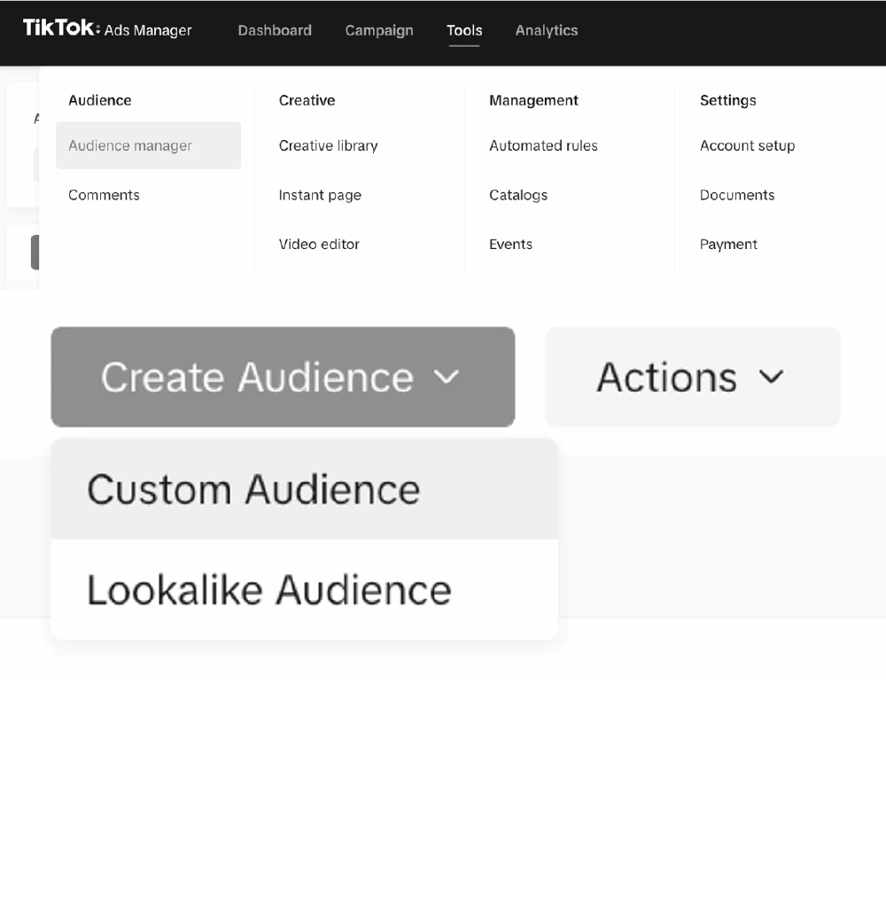 targeting tiktok joli social media